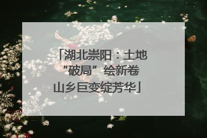 湖北崇阳：土地“破局”绘新卷 山乡巨变绽芳华
