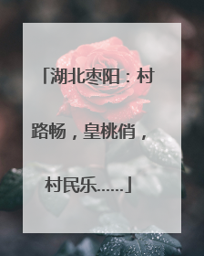 湖北枣阳：村路畅，皇桃俏，村民乐……