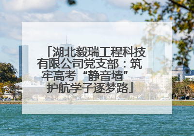 湖北毅瑞工程科技有限公司党支部：筑牢高考“静音墙” 护航学子逐梦路
