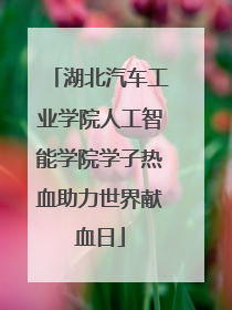 湖北汽车工业学院人工智能学院学子热血助力世界献血日