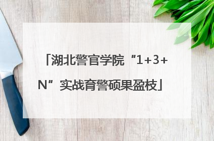 湖北警官学院“1+3+N”实战育警硕果盈枝