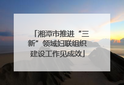湘潭市推进“三新”领域妇联组织建设工作见成效