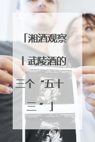 湘酒观察丨武陵酒的三个“五十三 ”