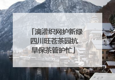 滴灌织网护新绿 四川旺苍茶园抗旱保茶管护忙