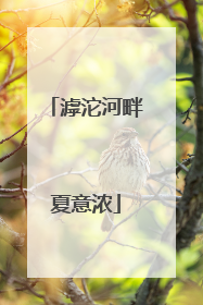 滹沱河畔夏意浓