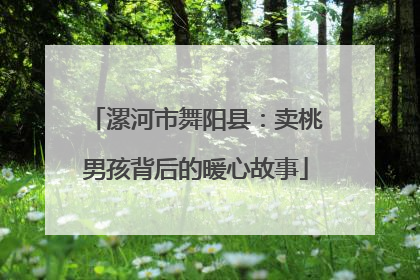 漯河市舞阳县：卖桃男孩背后的暖心故事