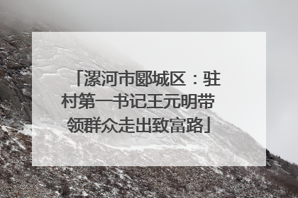 漯河市郾城区：驻村第一书记王元明带领群众走出致富路