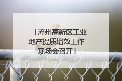 漳州高新区工业地产提质增效工作现场会召开
