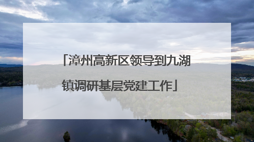 漳州高新区领导到九湖镇调研基层党建工作