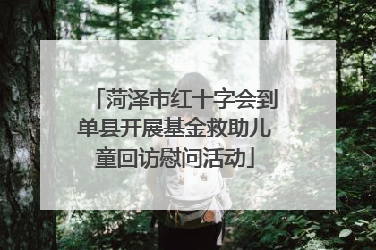 菏泽市红十字会到单县开展基金救助儿童回访慰问活动