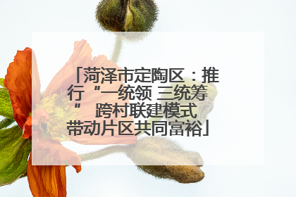 菏泽市定陶区：推行“一统领 三统筹” 跨村联建模式 带动片区共同富裕