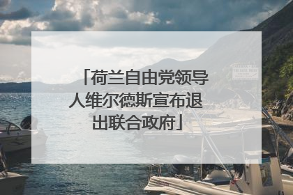 荷兰自由党领导人维尔德斯宣布退出联合政府