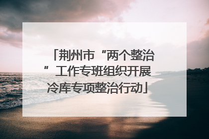 荆州市“两个整治”工作专班组织开展冷库专项整治行动