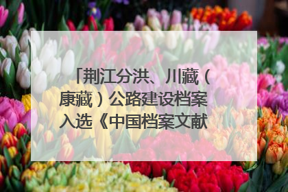 荆江分洪、川藏（康藏）公路建设档案入选《中国档案文献遗产名录》