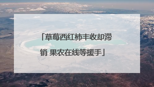 草莓西红柿丰收却滞销 果农在线等援手