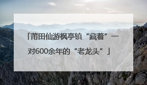 莆田仙游枫亭镇“藏着”一对600余年的“老龙头”