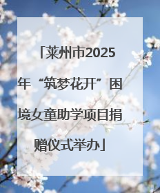 莱州市2025年“筑梦花开”困境女童助学项目捐赠仪式举办