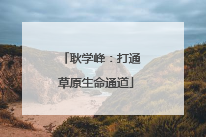 耿学峰：打通草原生命通道