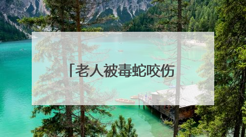 老人被毒蛇咬伤 所幸拍下照片及时注射抗蛇毒血清