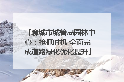 聊城市城管局园林中心：抢抓时机 全面完成道路绿化优化提升