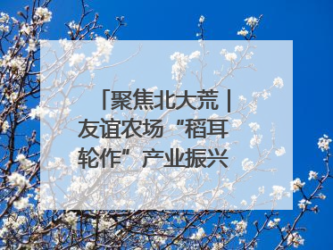 聚焦北大荒｜友谊农场“稻耳轮作”产业振兴“花开两朵”