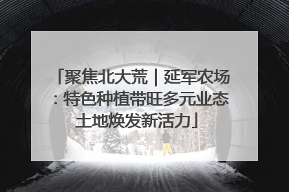 聚焦北大荒｜延军农场：特色种植带旺多元业态 土地焕发新活力