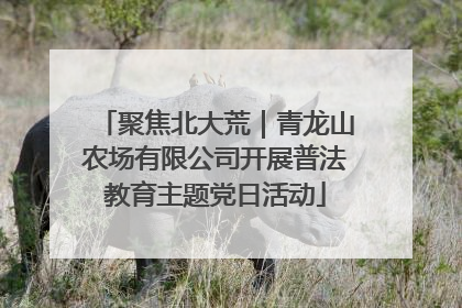 聚焦北大荒｜青龙山农场有限公司开展普法教育主题党日活动