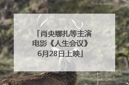 肖央娜扎等主演电影《人生会议》6月28日上映