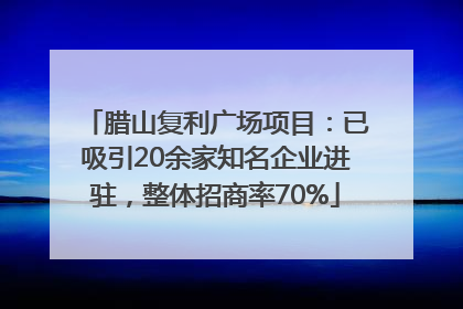 腊山复利广场项目：已吸引20余家知名企业进驻，整体招商率70%