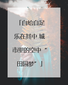 自给自足 乐在其中 城市里的空中“田园梦”