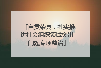 自贡荣县：扎实推进社会组织领域突出问题专项整治