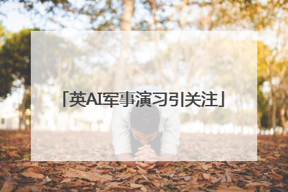 英AI军事演习引关注
