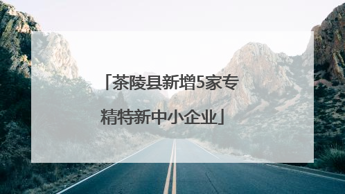茶陵县新增5家专精特新中小企业