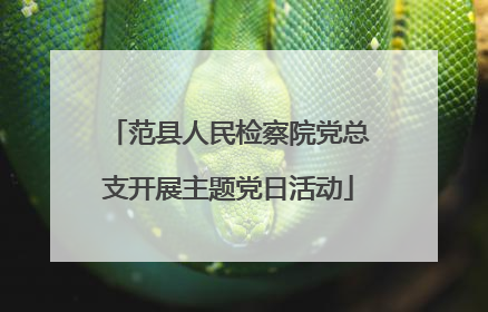 范县人民检察院党总支开展主题党日活动