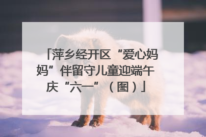 萍乡经开区“爱心妈妈”伴留守儿童迎端午庆“六一”（图）