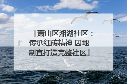 萧山区湘湖社区：传承红砖精神 因地制宜打造完整社区