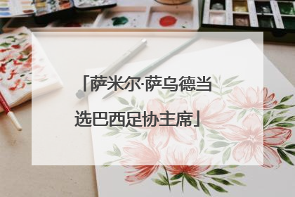 萨米尔·萨乌德当选巴西足协主席