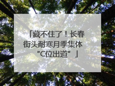 藏不住了！长春街头耐寒月季集体“C位出道”