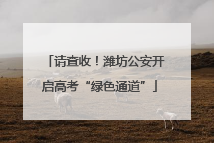 请查收！潍坊公安开启高考“绿色通道”