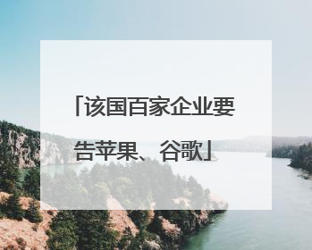 该国百家企业要告苹果、谷歌