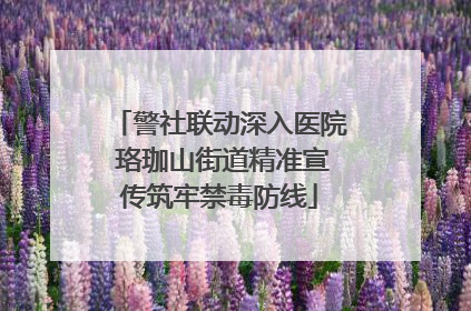 警社联动深入医院 珞珈山街道精准宣传筑牢禁毒防线