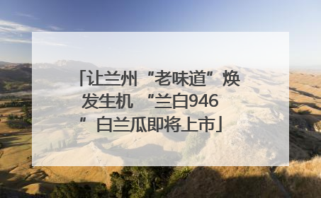 让兰州“老味道”焕发生机 “兰白946”白兰瓜即将上市