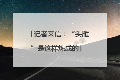 记者来信：“头雁”是这样炼成的