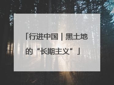 行进中国｜黑土地的“长期主义”
