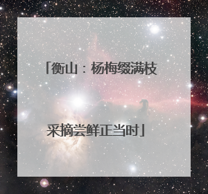 衡山：杨梅缀满枝 采摘尝鲜正当时