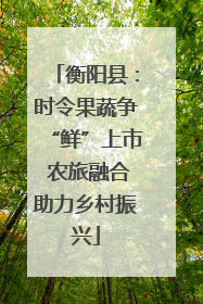 衡阳县：时令果蔬争“鲜”上市 农旅融合助力乡村振兴