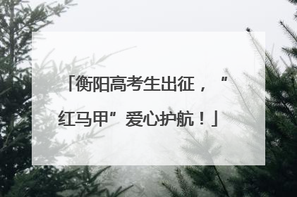 衡阳高考生出征，“红马甲”爱心护航！