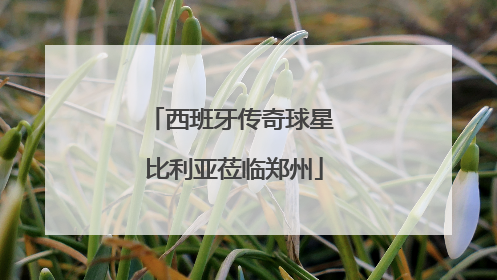 西班牙传奇球星 比利亚莅临郑州