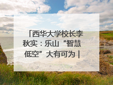 西华大学校长李秋实：乐山“智慧低空”大有可为｜西望四川
