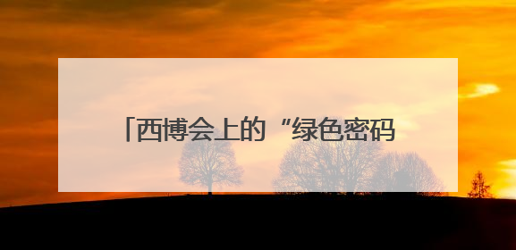 西博会上的“绿色密码”：四川唯一电网拆解中心让废旧物资“重生”｜西博寻“新”记